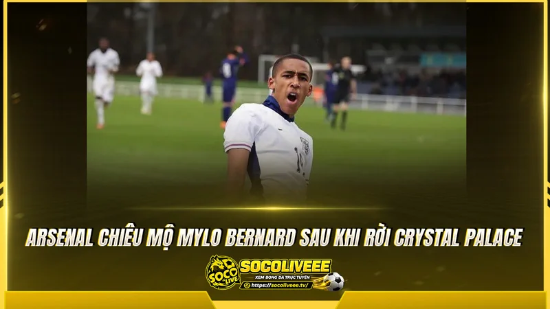 Arsenal chiêu mộ Mylo Bernard sau khi rời Crystal Palace Arsenal chiêu mộ Mylo Bernard sau khi rời Crystal Palace